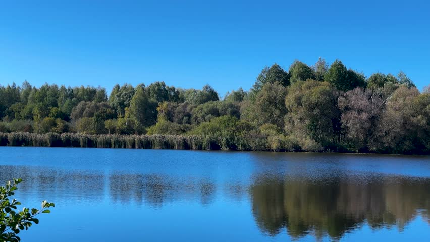 Beautiful Landscape with River, Lake and Forest
