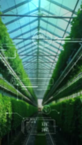 Smart agriculture technology analyzing plant growth in a greenhouse