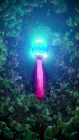 Fantasy mushroom field with glowing spores and soft mist, illuminated night light, macro enchanted forest animation loop, magical surreal natural atmosphere