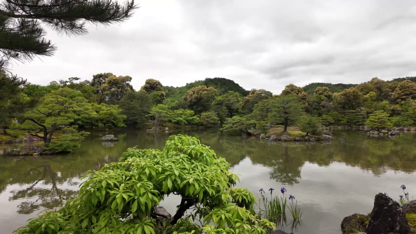 Gardens pond of Kinkaku-ji Golden Pavilion Zen Buddhist temple in Kyoto, Japan