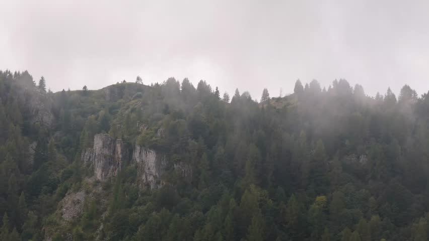 A Fog-covered mountain forest with dense evergreen trees and rocky cliffs under a soft cloudy sky