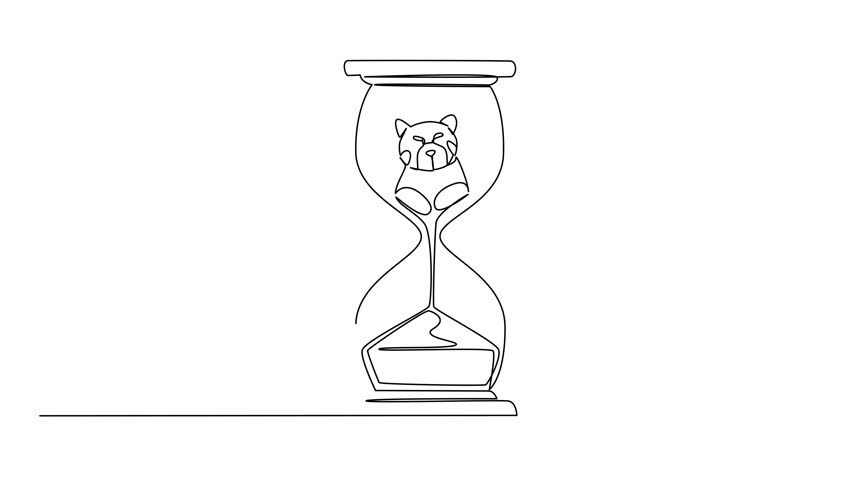 Animated self drawing of continuous line drawing lower body of red panda is sucked by the sand in the hourglass. Climate change. National Endangered Species Day. Full length single line animation