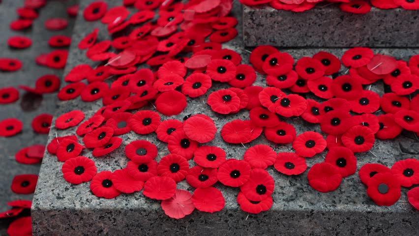 Remembrance Day tribute with poppies at the war memorial in Ottawa