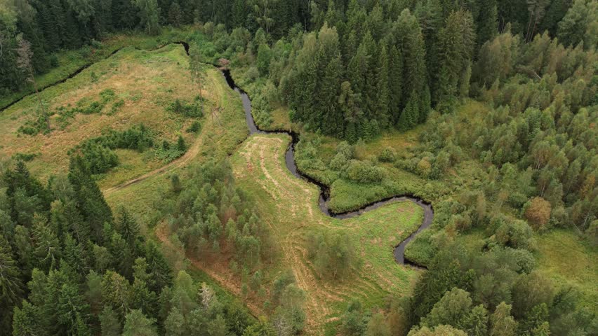 A winding river cuts through a dense green forest, creating a natural path through lush trees and meadows in a serene, untouched landscape.