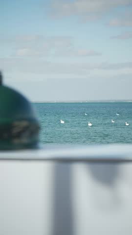 A green object is sitting on a white surface, with a view of the ocean in the background