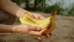 Woman holding fresh bananas while water splashing over them. Female rinsing ripe yellow fruits under flowing water. Lady washing bunch of bananas under running stream - Powered by Shutterstock - Get 15% off with code: PIKWIZARD15