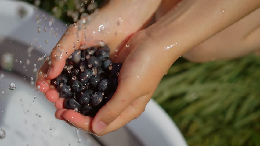 Girl washing fresh blueberries under water stream. Female rinsing ripe and natural berries in hands. Lady cleaning juicy and dark blueberries outdoors