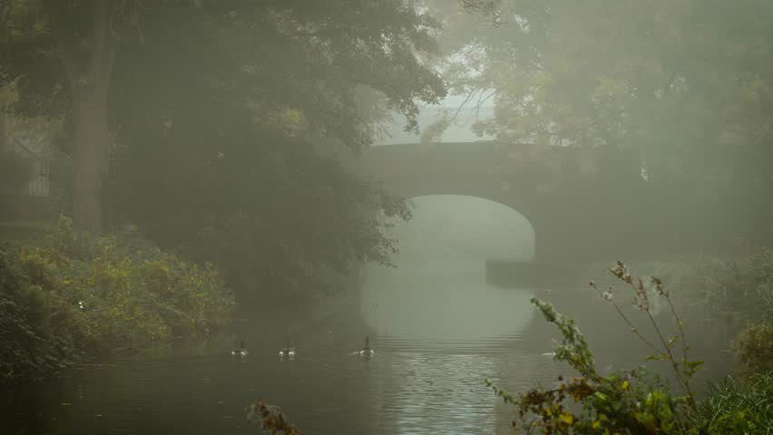 Foggy morning covering calm river under old bridge. Low fog spreading across woodland revealing ghostly outlines. Misty dawn veiling quiet waterway beneath ancient arch