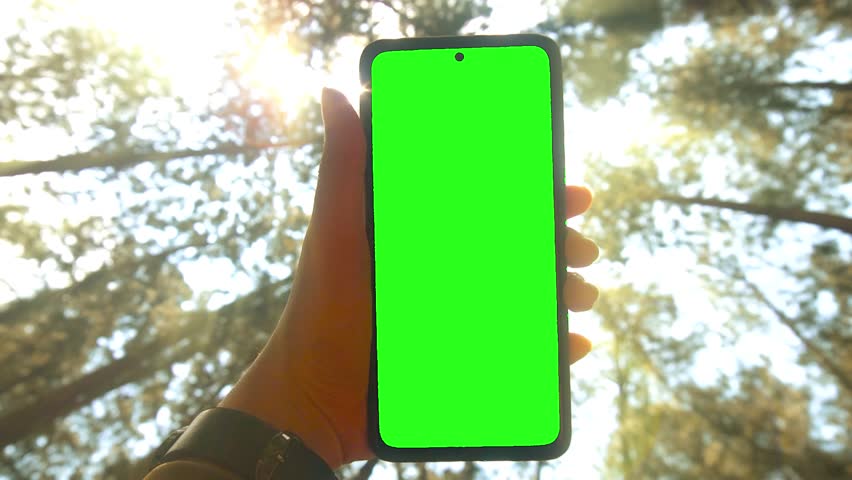 Man holds mobile phone with Green Screen with sunlight through the forest. Chroma key mock-up on smartphone in hand. closeup