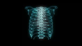 Futuristic 3D animation showing human rib cage made of glowing blue particles forming a digital hologram on black background. Perfect for sci-fi, medical, and technology concepts. - Powered by Shutterstock - Get 15% off with code: PIKWIZARD15