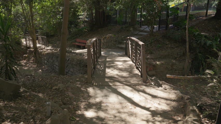 Wood Pedestrian Bridge Inside Natural Park
