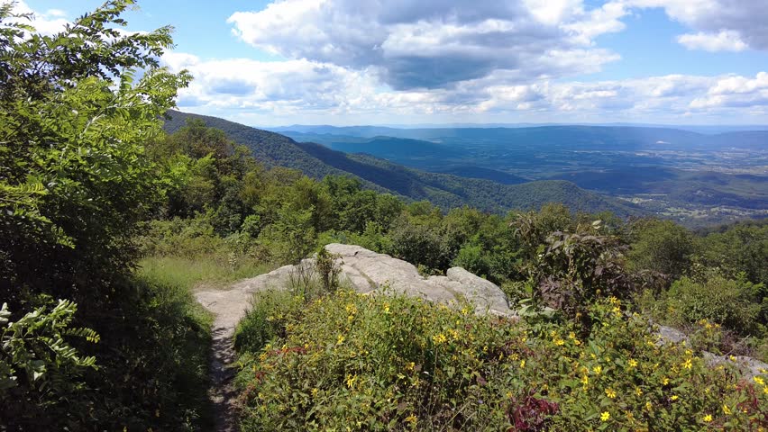 A scenic overlook with layers of rolling hills and a distant valley under a clear blue sky and windy day near Shenandoah National Park, Virginia, U.S.A