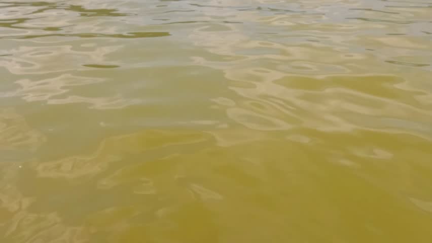 Slow motion of gentle ripples on the surface of a calm lake. Copy space for text. Calm and peaceful atmosphere. Ecological and environmental concept. 4K footage