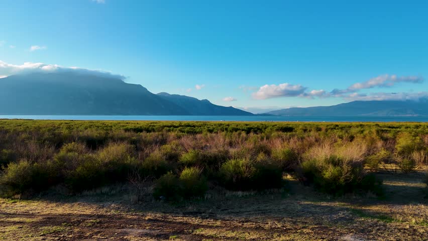 A beautiful aerial view of a vast expanse of golden and green marshland under a clear blue sky with a mountain range on the horizon a pristine and untouched natural habitat