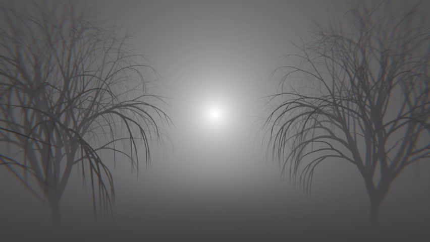 Haunted Creepy Halloween Forest Loop – eerie mist, spooky trees, and haunting atmosphere perfect for Halloween backgrounds, horror intros, or cinematic ambience.