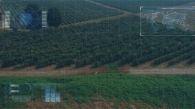 After aerial view, HUD scanning fields and solar panels, lighting rings, locking target for mapping. Drone, data visualization, futuristic, renewable energy, agricultural, technology, environmental - Powered by Shutterstock - Get 15% off with code: PIKWIZARD15