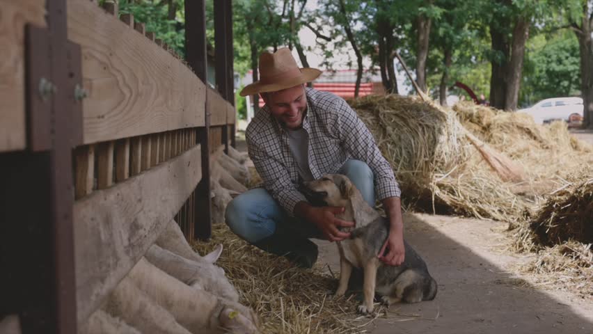 Young smiling farmer wearing a hat and plaid shirt crouching and petting his loyal dog in a barnyard while a flock of sheep eats hay from a wooden feeder in the background
