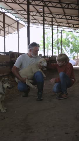 Caring senior farmer holding a cute newborn lamb while his curious grandson gently pets the little animal, sharing a heartwarming moment of bonding and connection inside a rustic farm barn