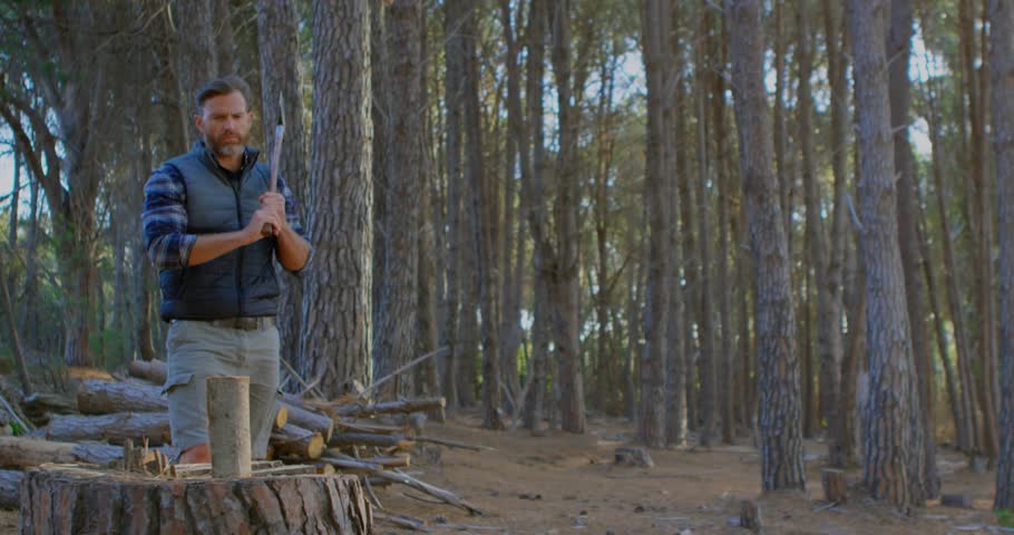 Man entering forest clearing placing vertical log on stump, swinging ax splitting wood for logging. Outdoor, rustic, activity, nature, craftsmanship, strength, wilderness