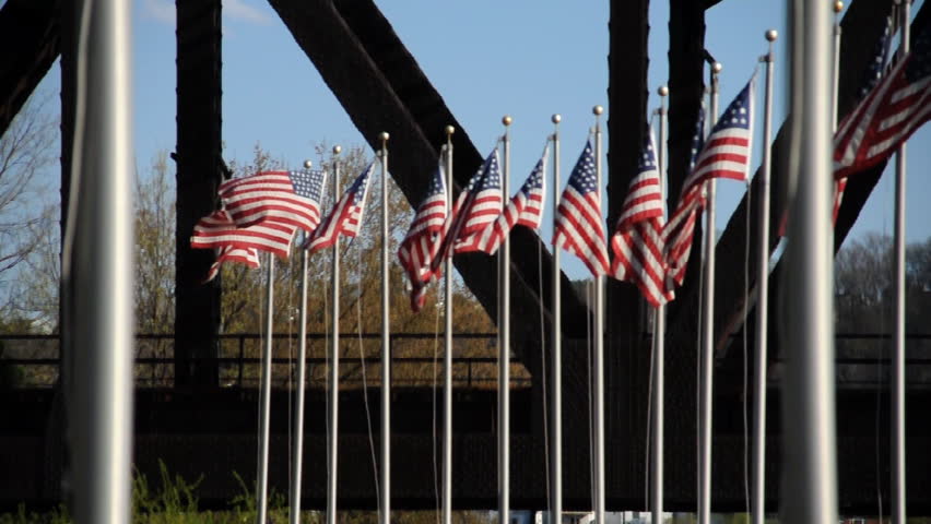 A row of American flags blowing in the wind.