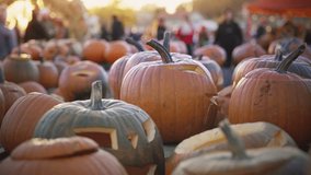 Close-up of carved pumpkins glowing in warm autumn sunlight at a local fall festival. Cozy seasonal atmosphere with vibrant colors, harvest spirit, and Halloween mood. - Powered by Shutterstock - Get 15% off with code: PIKWIZARD15