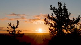 Sunset footage with visible sunbeams and pine tree silhouettes swaying in the wind, peaceful nature landscape capturing warm light and calm evening mood - Powered by Shutterstock - Get 15% off with code: PIKWIZARD15