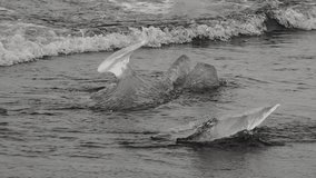 block of ice on black and volcanic sand - Powered by Shutterstock - Get 15% off with code: PIKWIZARD15