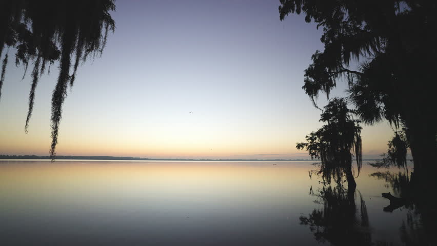 Cypress Tree Moss Lake Dawn Landscape 3