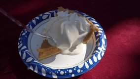 A mouthwatering slice of pumpkin pie topped with fluffy whipped cream glistens under soft, natural lighting on a patterned paper plate, evoking a cozy autumn vibe. - Powered by Shutterstock - Get 15% off with code: PIKWIZARD15