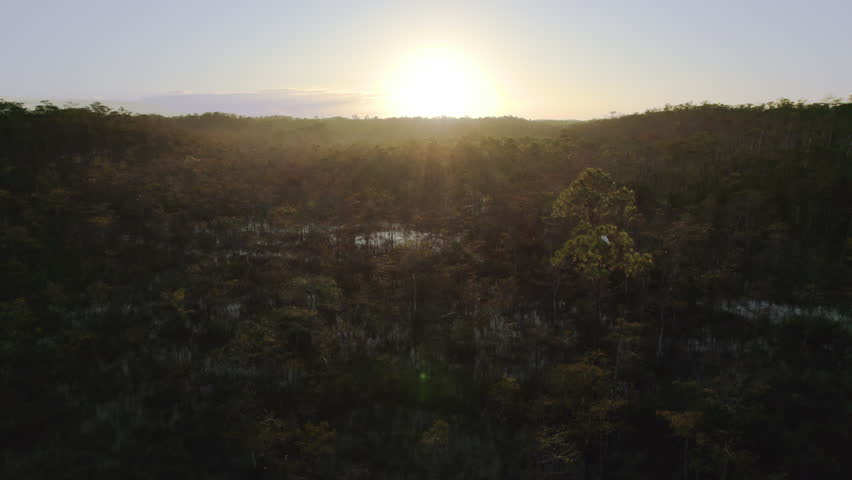 Big Cypress Preserve Sunrise Fly Through Aerial