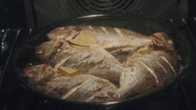 Cooked dorado with lemon slices served on a rustic table with sea stars and coarse salt - Powered by Shutterstock - Get 15% off with code: PIKWIZARD15
