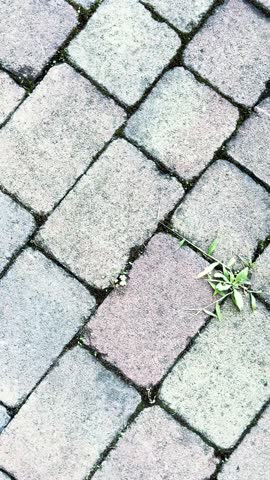 Stone paved walkway closeup, view from above vertical format