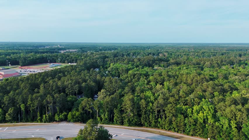 Aerial landscape of Richmond Hill trees in forest sunny summer day in Bryan County Georgia USA