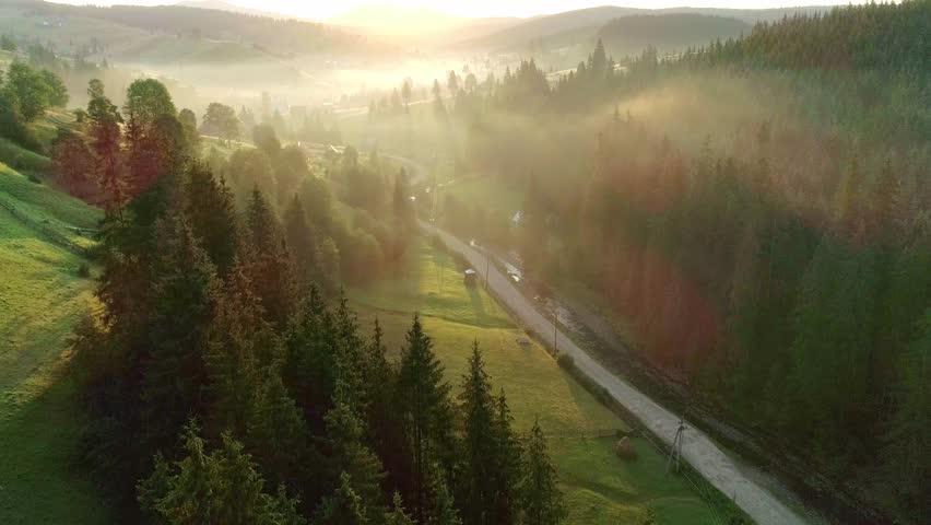 Foggy early morning with green trees in sunny light, sunny light breaks through foggy early morning in green forest. creates mystical serene atmosphere ideal for nature exploration