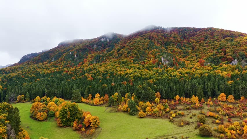 Stunning aerial shot of vibrant fall foliage covering the rolling hills and cliffs of Súľov Mountains in Slovakia. Dense forest in full autumn color under cloudy skies.