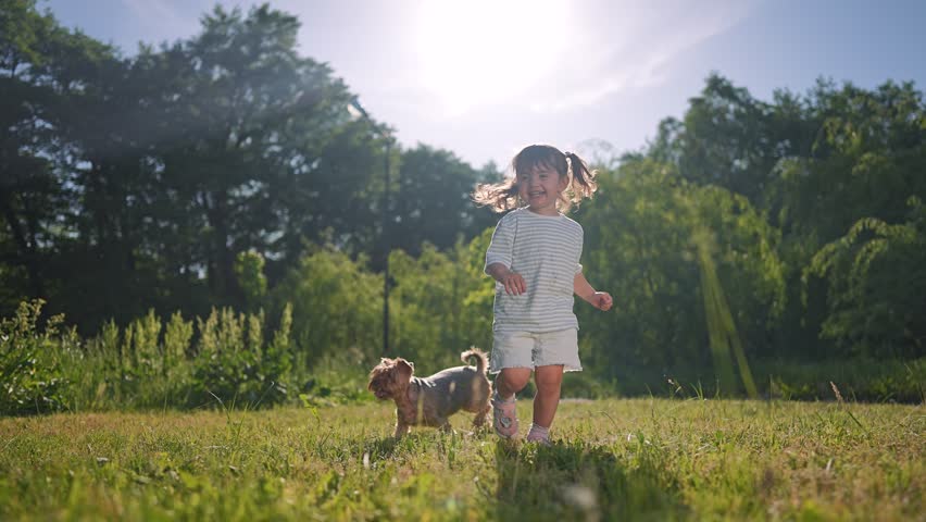 Girl plays outdoor dog in summer. Happy running child shows bright smile. Joy fills nature scene. Sunlight warms girl joy. Nature smile shines. Child loves happy outdoor fun. Running brings summer joy