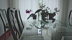 Closeup Of Glass Dining Table With Chairs And Orchids Reflected On Surface In Softly Lit Home Interior With Natural Window Light - Powered by Shutterstock - Get 15% off with code: PIKWIZARD15