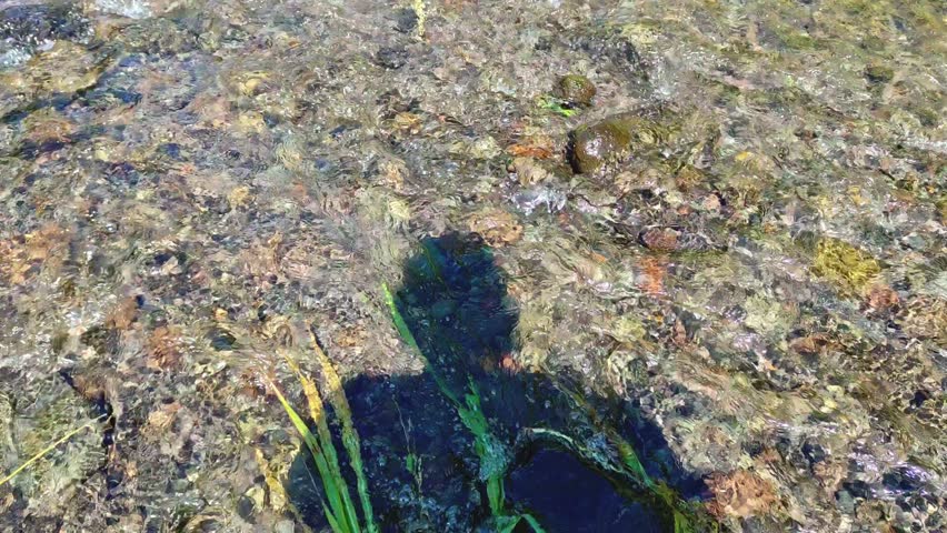 Streams of water flow over moss-covered rocks, the shadow of a human walking along a stream of water that is the source of life in nature