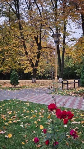 Autumnal park scene with large linden trees in bright yellow foliage canopy. A lamppost and park bench are visible near the path, and fallen leaves are scattered across the grass and walkway