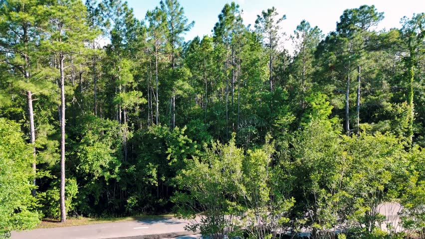 Aerial landscape of forest and pond running trail in suburban Baldwin Jacksonville Florida USA