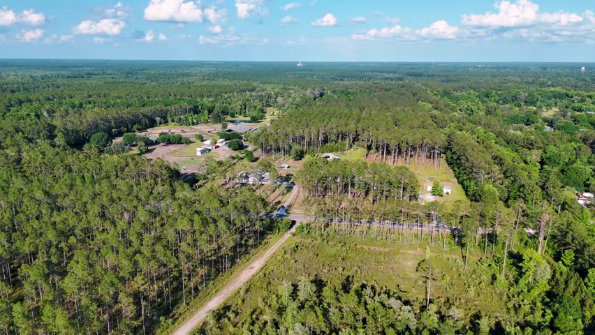 Aerial landscape of forest and pond running trail in suburban Baldwin Jacksonville Florida USA