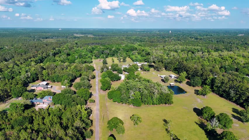 Aerial landscape of forest and pond running trail in suburban Baldwin Jacksonville Florida USA