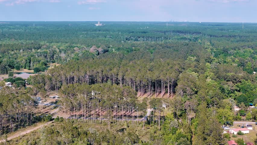 Aerial landscape of forest and pond running trail in suburban Baldwin Jacksonville Florida USA