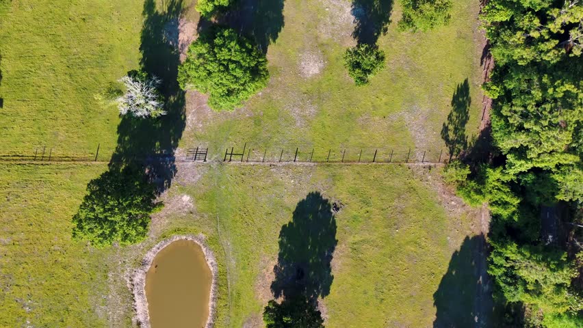 Aerial landscape of forest and pond running trail in suburban Baldwin Jacksonville Florida USA