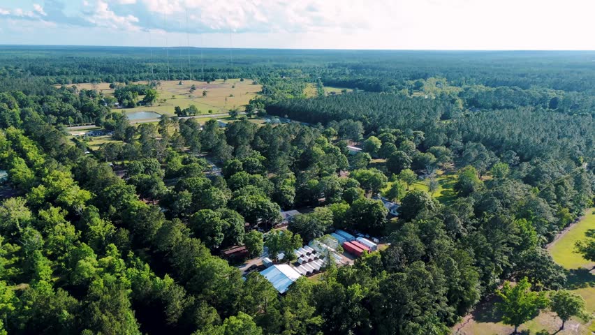 Aerial landscape of forest and pond running trail in suburban Baldwin Jacksonville Florida USA