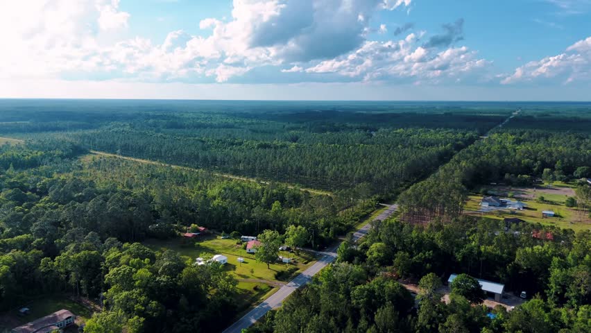 Aerial landscape of forest and pond running trail in suburban Baldwin Jacksonville Florida USA