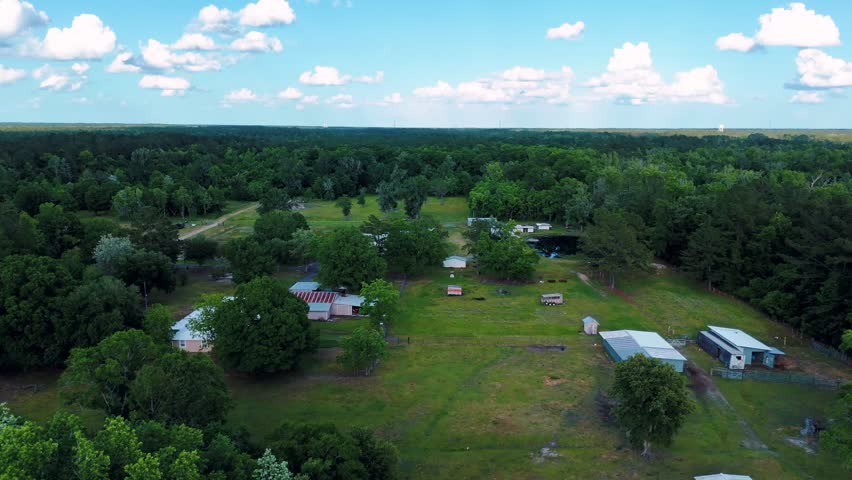 Aerial landscape of forest and pond running trail in suburban Baldwin Jacksonville Florida USA
