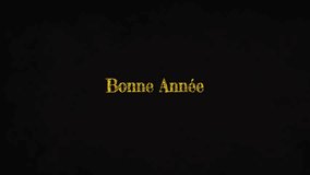 Screen appearing, gold Bonne Annee text bursting fireworks, drifting snowflakes to welcome new year. Celebration, festive, luxury, elegance, animation, sparkle, winter - Powered by Shutterstock - Get 15% off with code: PIKWIZARD15