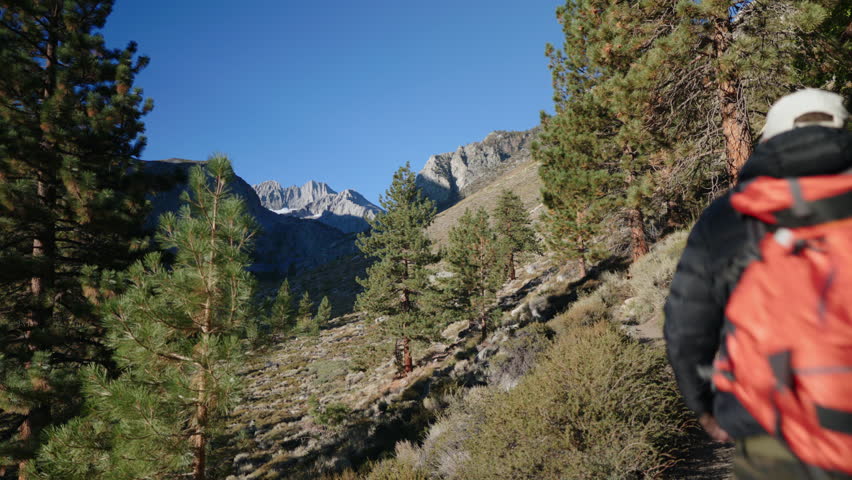 A solitary hiker carrying a wellpacked backpack journeys along a scenic mountain trail, beautifully framed by soaring pine trees and breathtaking, majestic peaks all around
