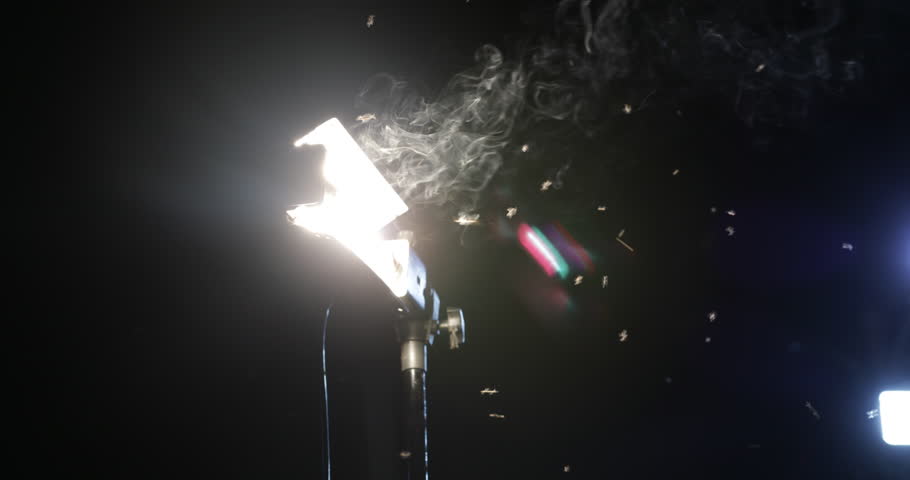 4K footage captured on Canon 5D Mark IV showing insects and moths flying around a porch light at night. The dim glow and dark surroundings create a spooky, eerie atmosphere perfect for horror